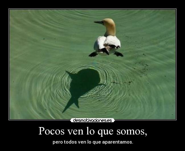 Pocos ven lo que somos, - pero todos ven lo que aparentamos.