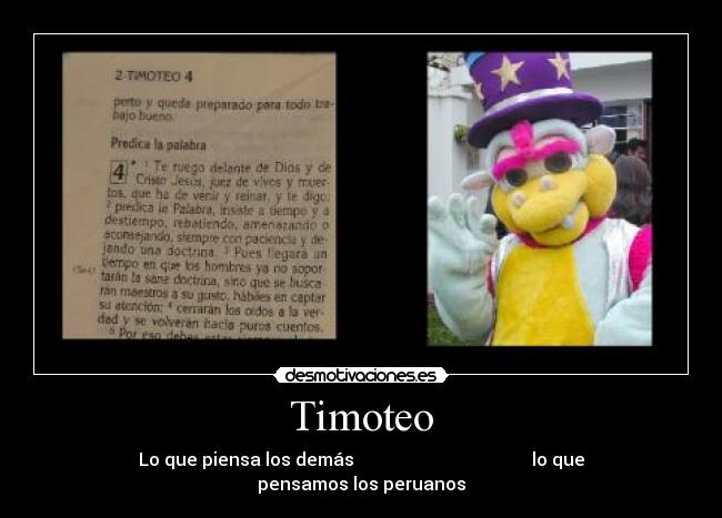 Timoteo - 