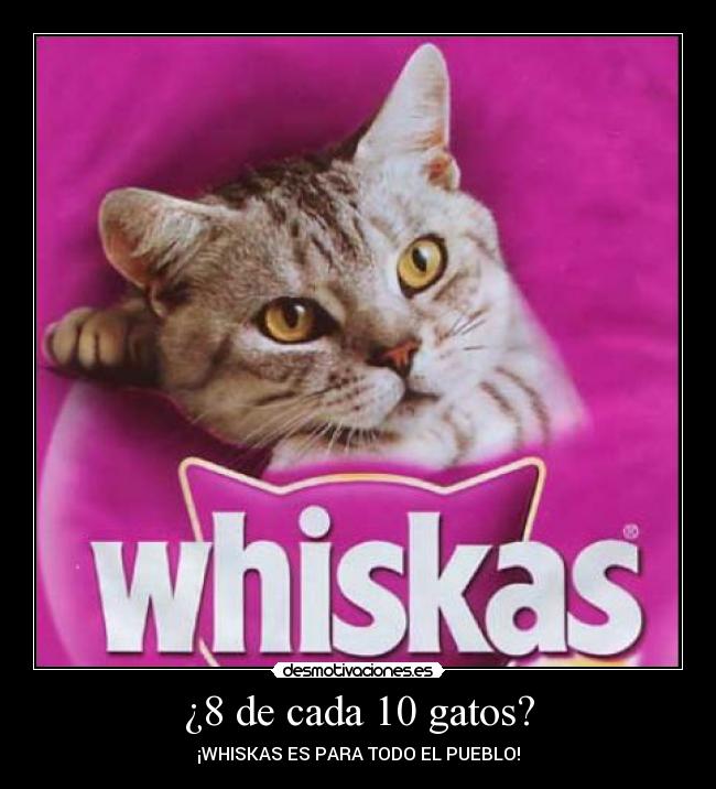 carteles gatos whiskas desmotivaciones