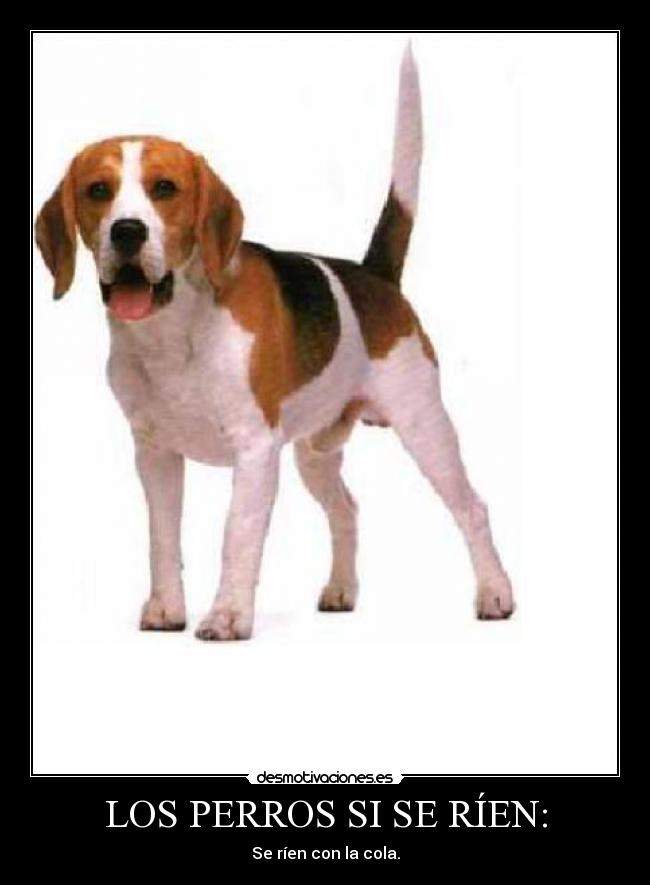 carteles maria salon desmotivaciones