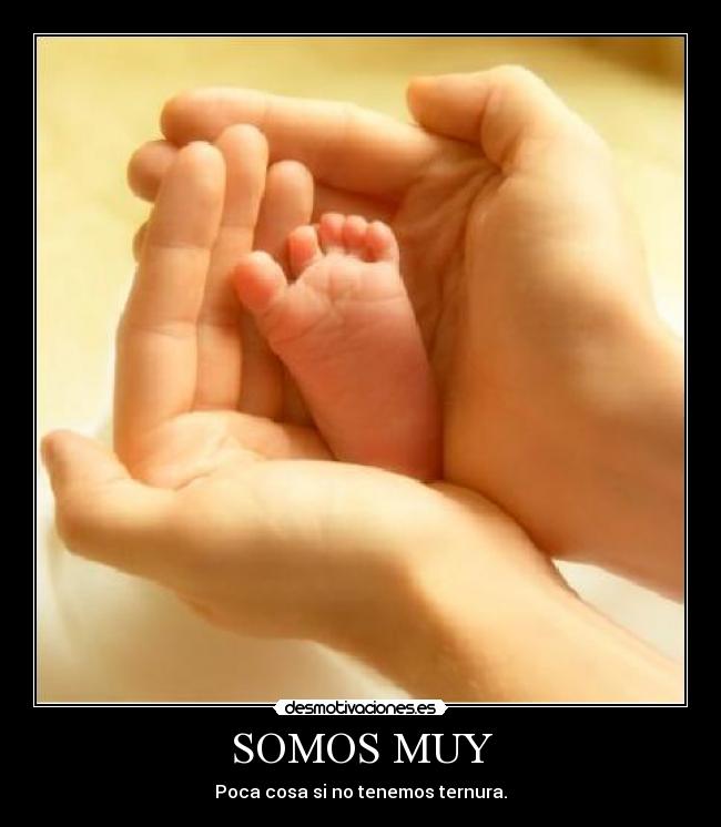 carteles maria salon desmotivaciones