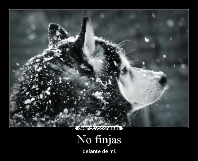 No finjas - delante de mí.