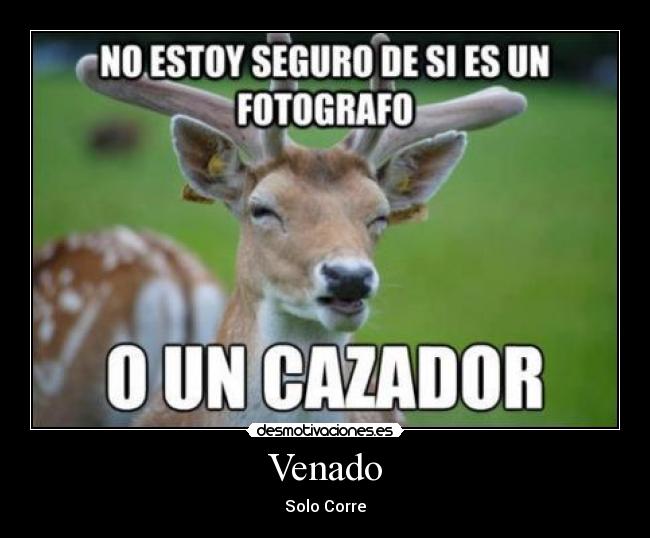 Venado - Solo Corre