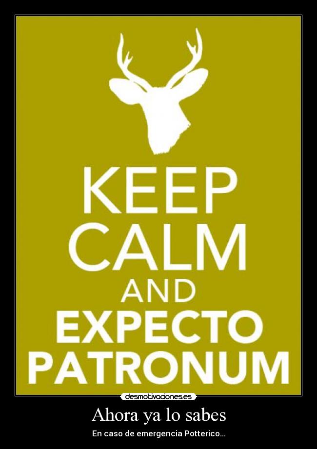 Ahora ya lo sabes - En caso de emergencia Potterico...