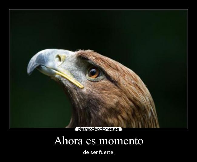 Ahora es momento - 