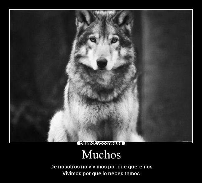 Muchos - De nosotros no vivimos por que queremos
Vivimos por que lo necesitamos