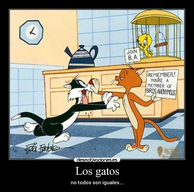 Los gatos -