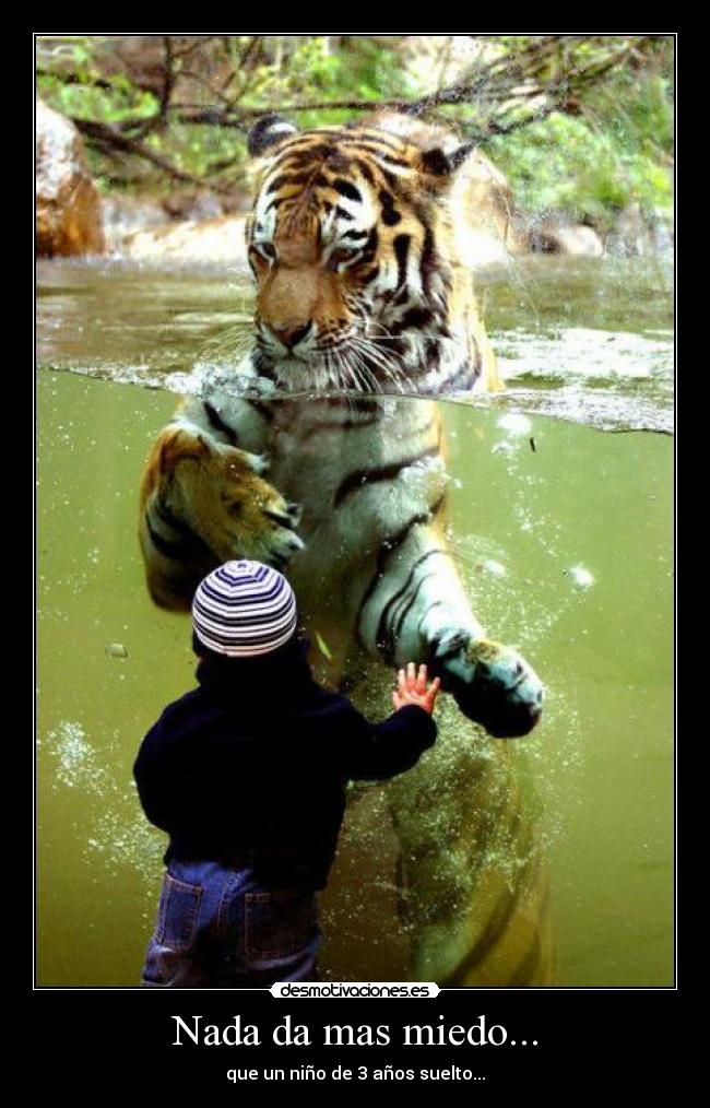 Nada da mas miedo... - que un niño de 3 años suelto...