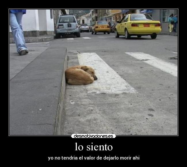 lo siento - 