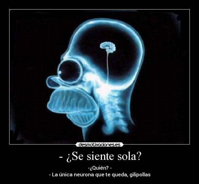 - ¿Se siente sola? - -¿Quién? -
- La única neurona que te queda, gilipollas