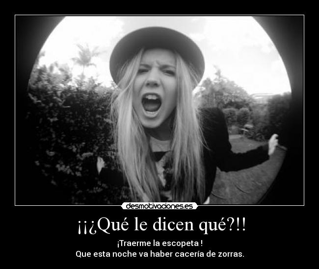 ¡¡¿Qué le dicen qué?!! - ¡Traerme la escopeta !
Que esta noche va haber cacería de zorras.