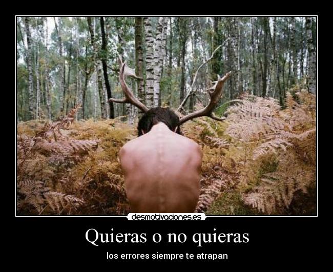 Quieras o no quieras - 