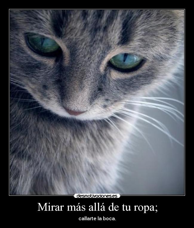 Mirar más allá de tu ropa; - callarte la boca.