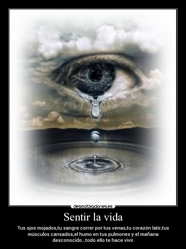 Sentir la vida - Tus ojos mojados,tu sangre correr por tus venas,tu corazón latir,tus
músculos cansados,el humo en tus pulmones y el mañana
desconocido...todo ello te hace vivir.