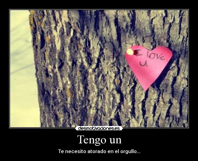 carteles tengo desmotivaciones