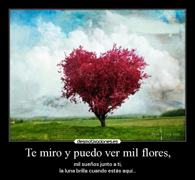 Te miro y puedo ver mil flores, - mil sueños junto a ti,
la luna brilla cuando estás aquí...