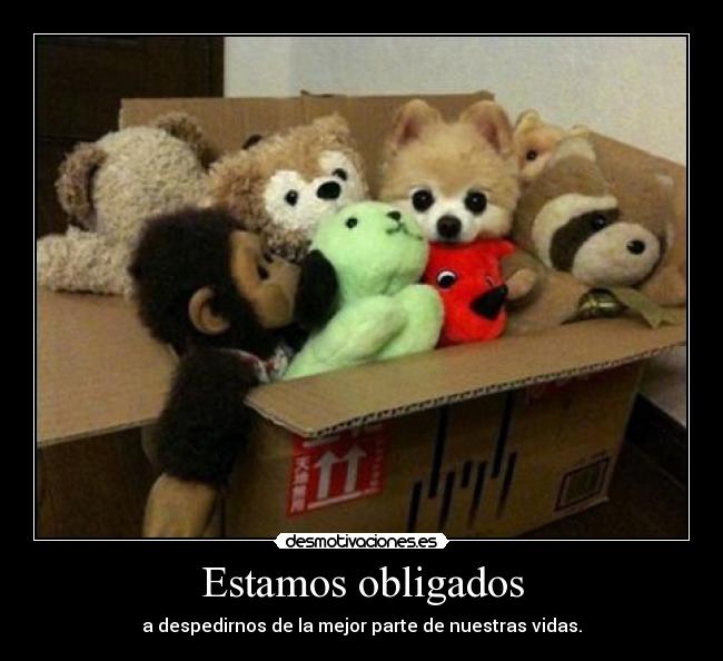Estamos obligados -