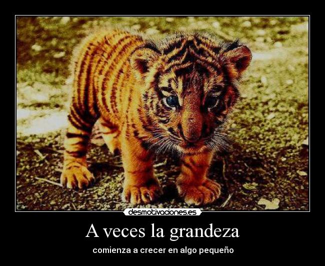 A veces la grandeza - comienza a crecer en algo pequeño