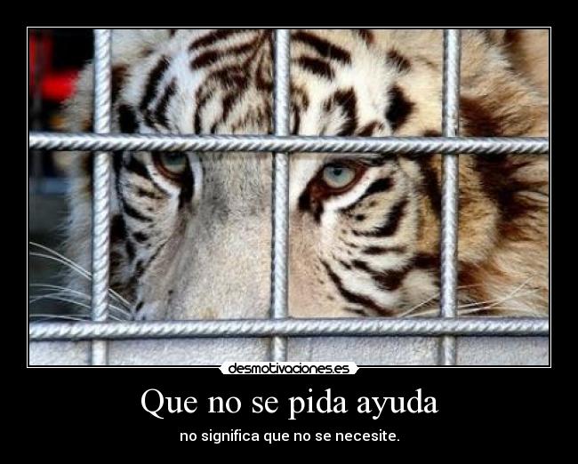 Que no se pida ayuda -