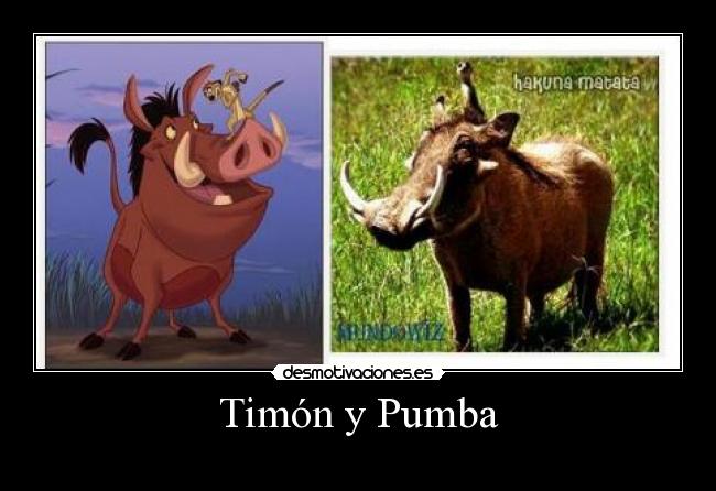 Timón y Pumba -