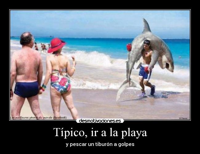 Típico, ir a la playa - 