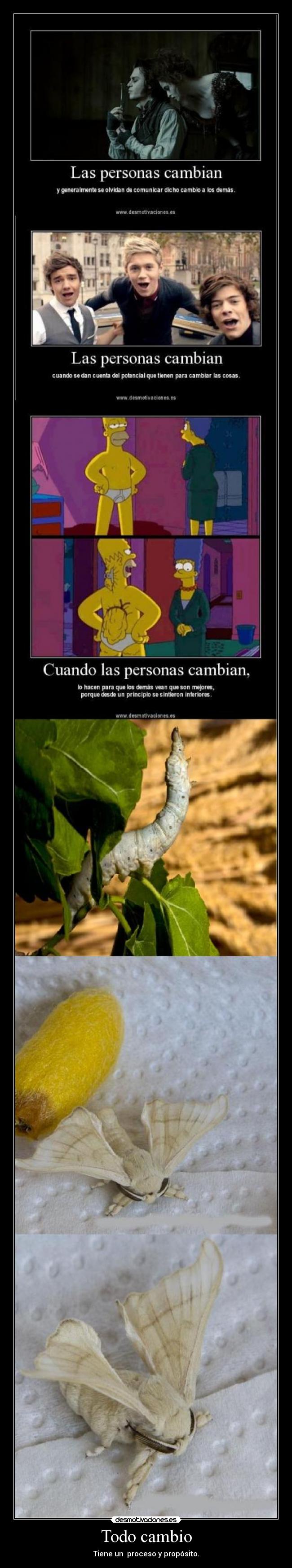 Todo cambio - Tiene un proceso y propósito.