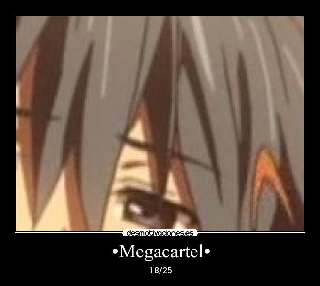 •Megacartel• -