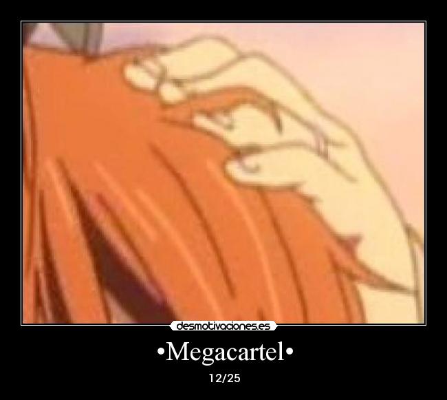 •Megacartel• -