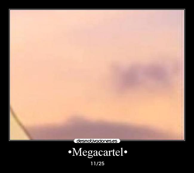 •Megacartel• -