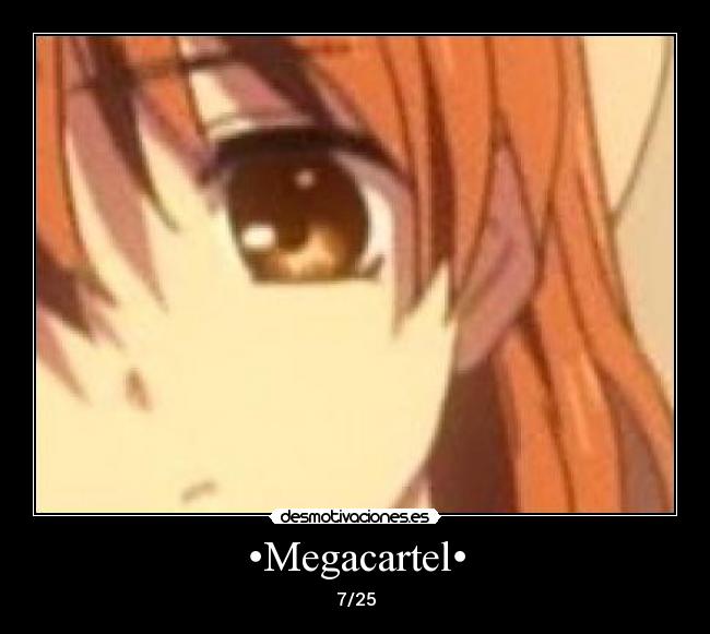 •Megacartel• -