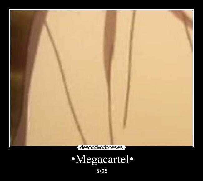 •Megacartel• -
