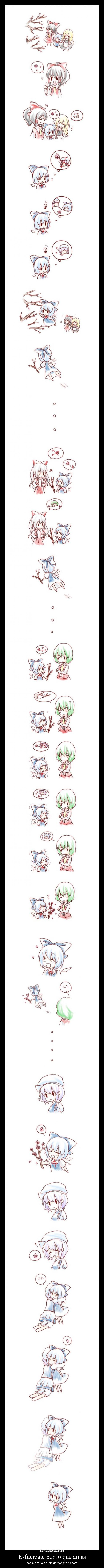 Esfuerzate por lo que amas -