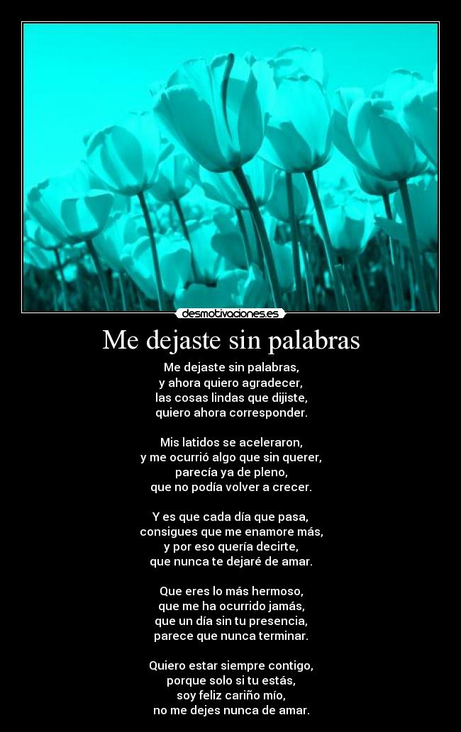 Me dejaste sin palabras - 