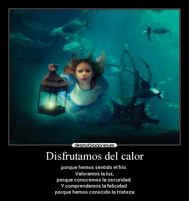 Disfrutamos del calor - porque hemos sentido el frío. 
Valoramos la luz,
porque conocemos la oscuridad. 
Y comprendemos la felicidad 
porque hemos conocido la tristeza