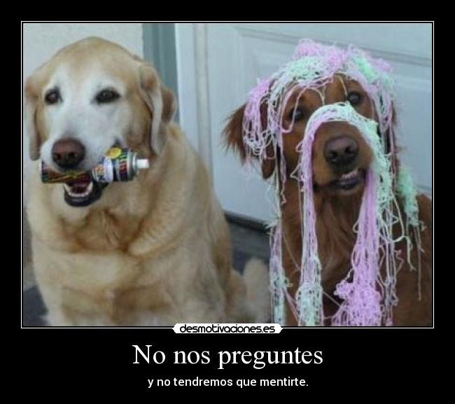 No nos preguntes - y no tendremos que mentirte.