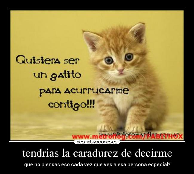 tendrias la caradurez de decirme - que no piensas eso cada vez que ves a esa persona especial?