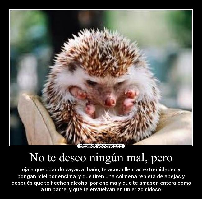 No te deseo ningún mal, pero - ojalá que cuando vayas al baño, te acuchillen las extremidades y
pongan miel por encima, y que tiren una colmena repleta de abejas y
después que te hechen alcohol por encima y que te amasen entera como
a un pastel y que te envuelvan en un erizo sidoso.