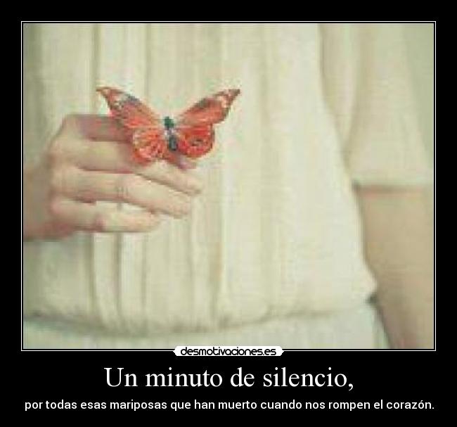 Un minuto de silencio, - por todas esas mariposas que han muerto cuando nos rompen el corazón.