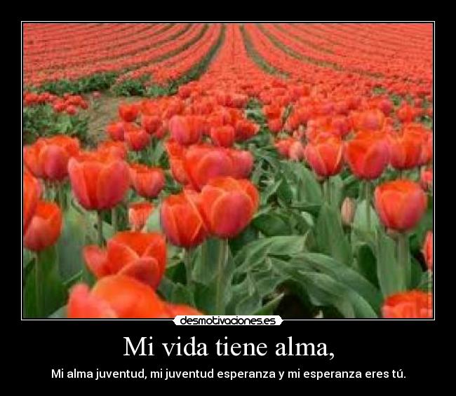 Mi vida tiene alma, - 