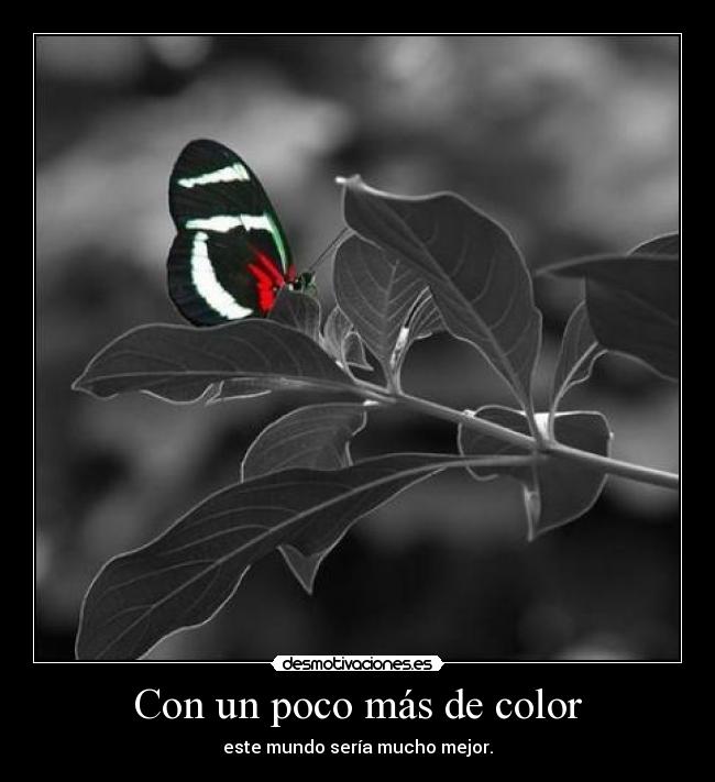 carteles color desmotivaciones