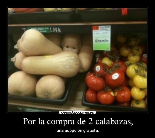 Por la compra de 2 calabazas, - una adopción gratuita.