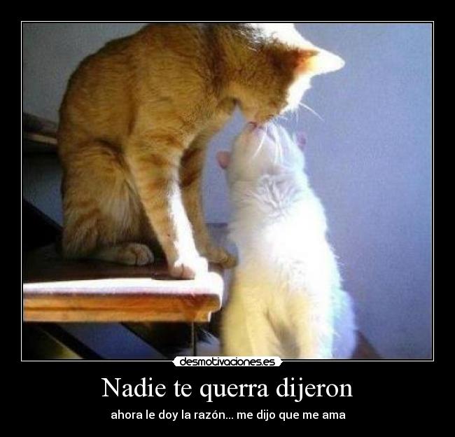 Nadie te querra dijeron -