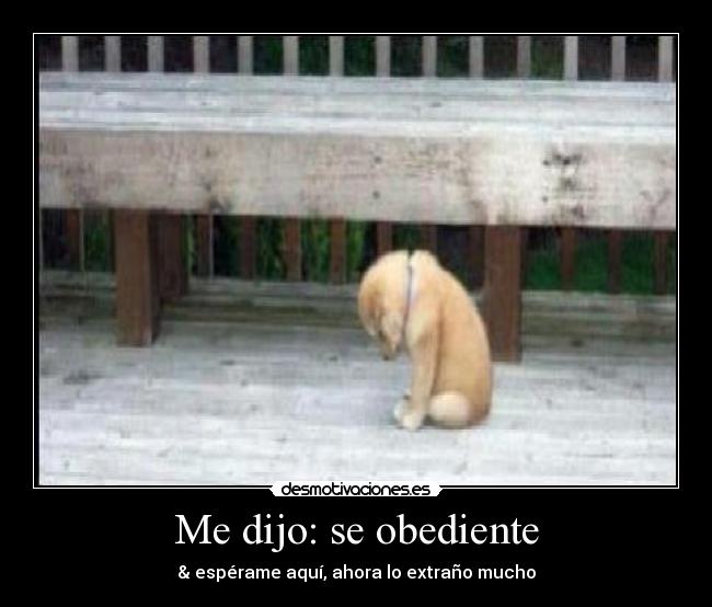 carteles jesus desmotivaciones