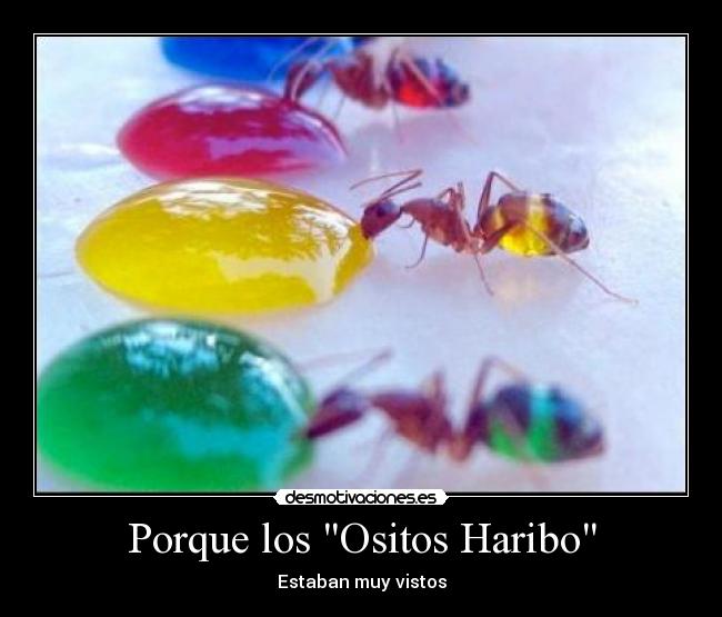 Porque los Ositos Haribo - 