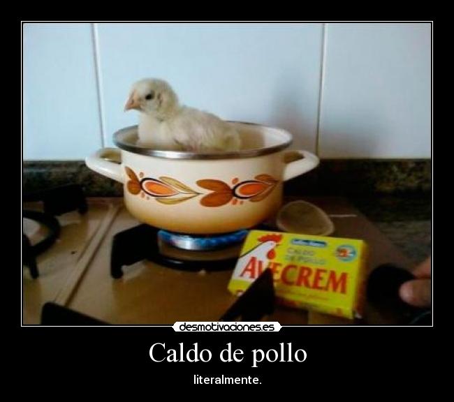 Caldo de pollo - 