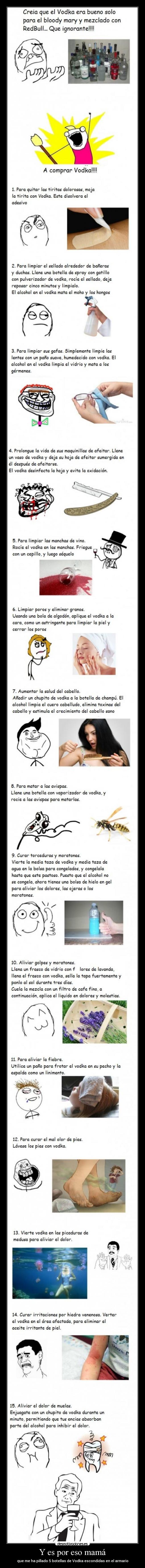 Y es por eso mamá - que me ha pillado 5 botellas de Vodka escondidas en el armario
