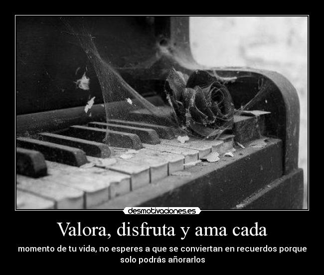 Valora, disfruta y ama cada -