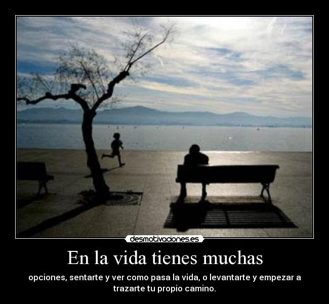 En la vida tienes muchas -
