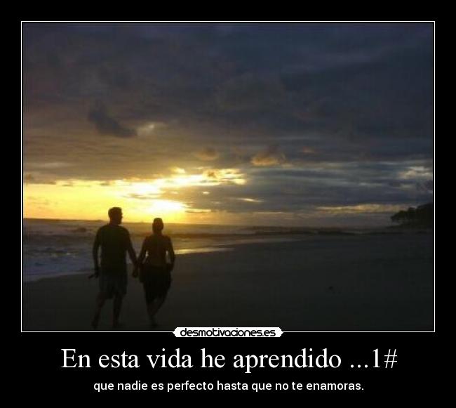 carteles vida amor vida aprendido aprender desmotivaciones