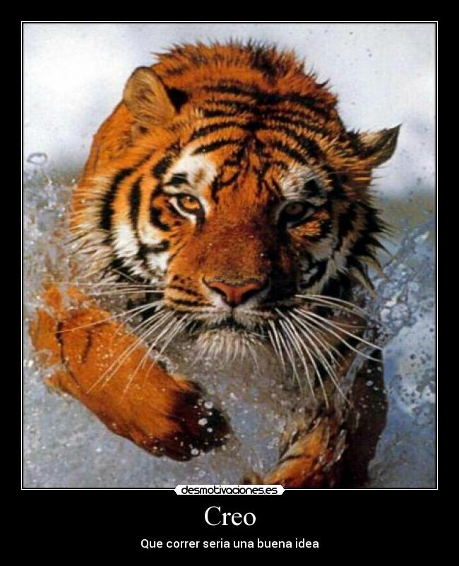 Creo - Que correr seria una buena idea